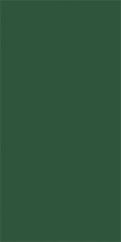 Duni Servietten jägergrün 3-lagig 33x33cm 1/8Falz 250ST 